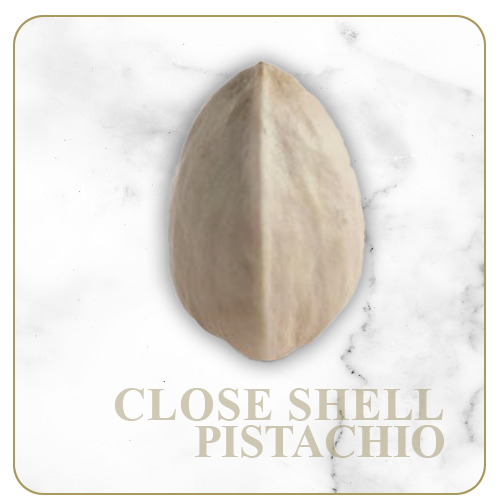 Close shell Pistachio