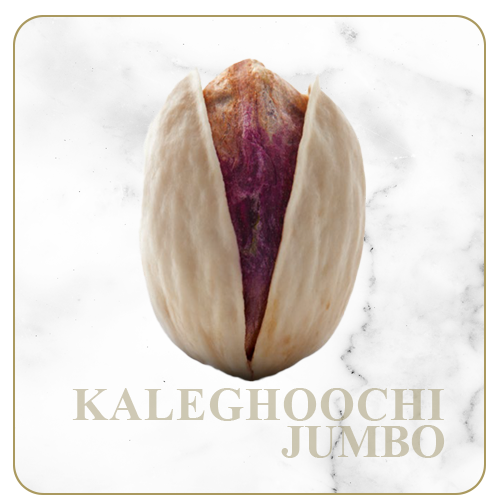 KaleGhoochi (Jumbo)